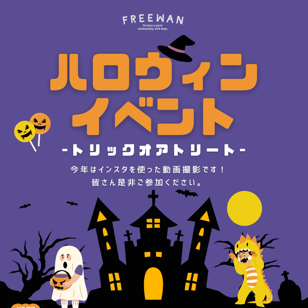 Campaign