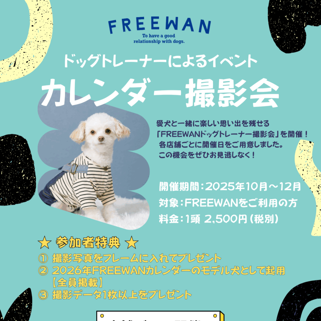 Campaign