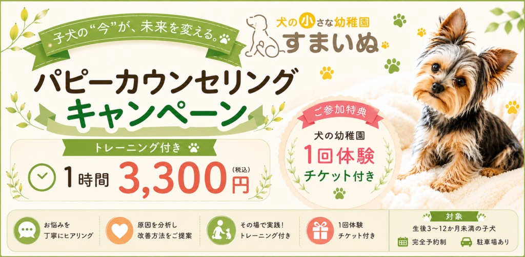 Campaign