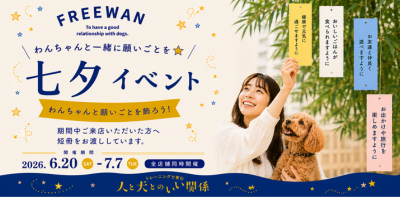 Campaign