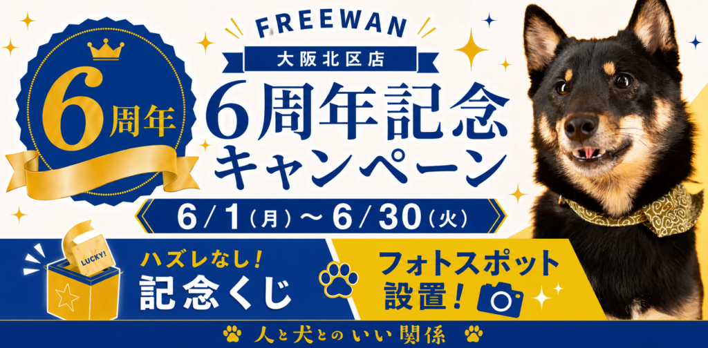 Campaign