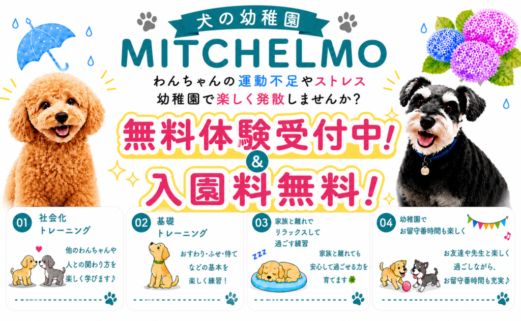 Campaign