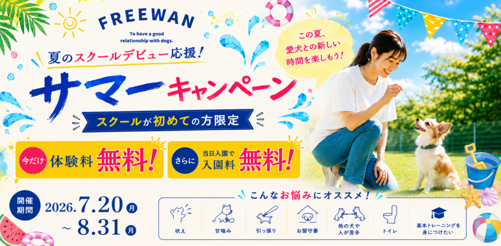 Campaign