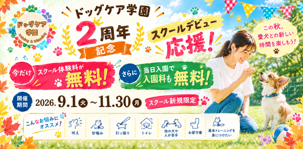 Campaign