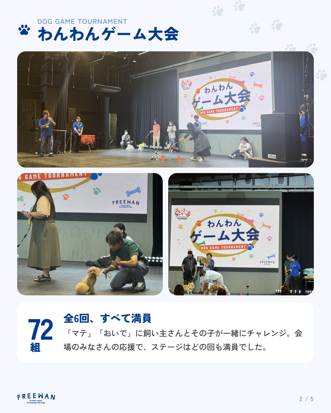 わんわんゲーム大会