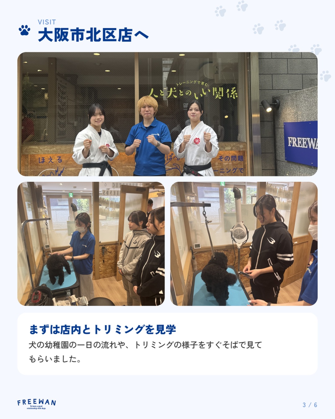 大阪市北区店で店内とトリミングを見学