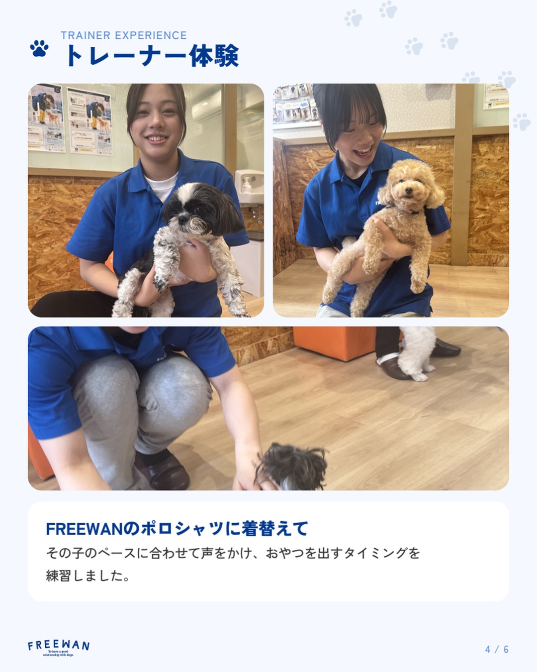 トレーナー体験