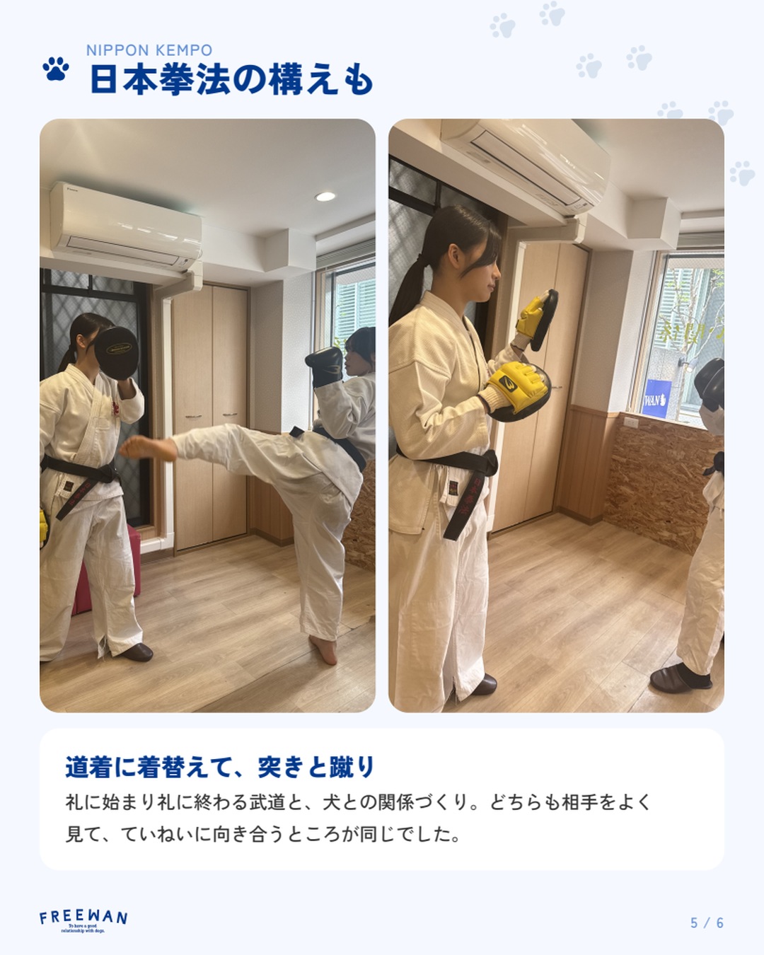日本拳法の構え