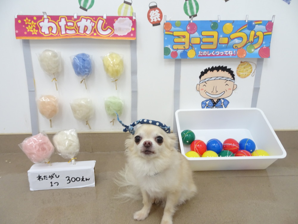 犬の幼稚園 みんなでお祭り ブログ Freewan フリーワン 犬のしつけ 美容